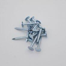 China Factory Flat Head Roofing Nails 1kg Box With Warranty and OEM Support thumbnail-4