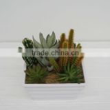 Best selling series artificial plants artificial succulent/cactus arrangement wholesale for decorating