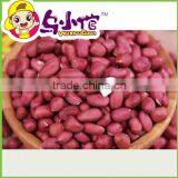 Salted Fried Peanuts With Skin thumbnail-3