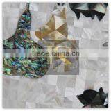 Popular Shell Mosaic for Luxury Decoration (capiz Shell Series) Different Types