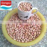 Shandong Factory Peanut Kernels 40/50