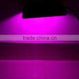 85-265V 20W 20pcs LED Flood Light Plant Grow Light Hydroponic Lamp 16 Red 4 Blue Water-resistant Energy-saving thumbnail-6