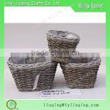 Popular Grey Color Mini Willow Storage Basket for Plan thumbnail-3