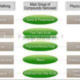 5 Tons per Day Palm Edible Cooking Oil Refining Machine thumbnail-4