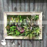 Wood Framed Wall Hanging Replica Plants Wall for Interior Ornaments thumbnail-1