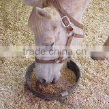 Horse Oats in Bulk With Wholesale Price thumbnail-1