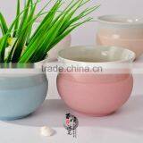ceramic flower pot outdoor