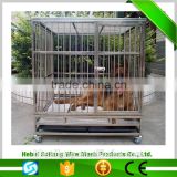 Anping factory Wholesale large Dog Cage with the cheap price
