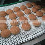 Sidewall Cleated Gooseneck Elevator S/s for Snack Food