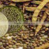 Industrial Grade Guar Gum Powder thumbnail-1