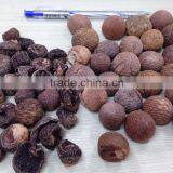 SELLING BOILED BETEL NUT Without Wrinkle Seeds FROM VIETNAM thumbnail-1