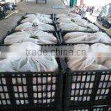 Shanxi Qinghe Trading Co., Ltd. company overview - view 3 thumbnail