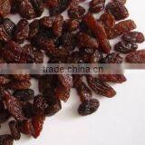 Dried Red Raisin thumbnail-1