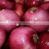 2016 Crop New Fresh Red Onion at Cheap Price of Big Size 5-7cm