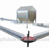 poultry chain feeding system