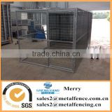 puppy dog run cat cage parrot aviary chicken coop