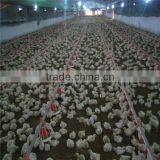 Environmental Controlled Automatic Prefabricated Poultry House for Broiler and Layer thumbnail-3