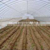 pe Mesh pe Insect Mesh Anti-insect Net thumbnail-5