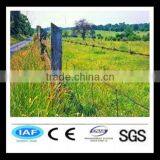 Barbed Wire Razor Wire Mesh Wall Spike thumbnail-1