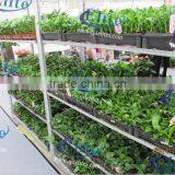 390 Seed Discharging Danish Flower Trolley thumbnail-2