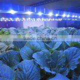CE ETL Listed 60w IP65 Waterproof MarsHydro Led Grow Light Bar Strip Full Spectrum for Flower Vegetables thumbnail-4