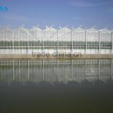 BaoLiDa Single Span Hollow Glass Hot-dip Galvanized Steel Cucumber Greenhouse thumbnail-1