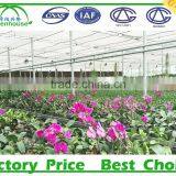 Promotional Used Greenhouse Frames For Sale thumbnail-4
