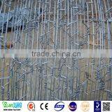 High Quality New Design Good Ventilated Small Roll Barbed Wire thumbnail-4