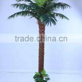 SJ12001163 Top Selling Palm Tree/mini Palme Plant Craft thumbnail-1