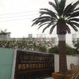 Artificial Plain Style Green Plant Wall for Landscaping Design From Dongguan ESTE LGH15-07 thumbnail-5