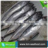 Carton or Woven Bag Packed Without Faure Marin Iced Bonito thumbnail-3