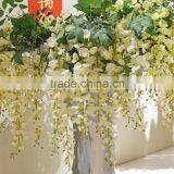 27434 The Petals of Champagne From Handcraft Factory,wistaria Sell to Asia and Europe thumbnail-4