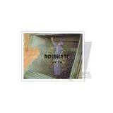 Sell Metal Belt Shot Blasting Machine