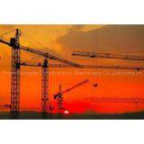 QTZ250 Topless Tower Crane thumbnail-1