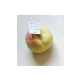 Artificial peach,Artificial fruit