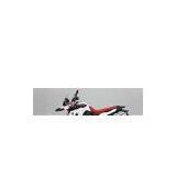 2010 BMW F 800 GS Special Edition Motorcycle thumbnail-1