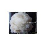 Pashmina Fibre thumbnail-1