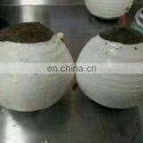 Fruit and Vegetable Peeling Machine thumbnail-4