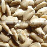 Chinese Sunflower Seed Kernels thumbnail-1