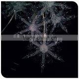 Blue Color 5 Snowflake Led Decorative Light Holiday Light thumbnail-3