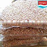 Vaccum Package Raw Peanut Kernels
