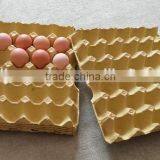 30 Eco-friendly Paper Pulp Egg Tray thumbnail-4