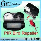 Gunshot and Flashing Bird Repeller