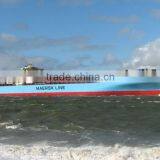 Pat From Ningbo to Russia Sea Freight