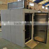Commercial Fish Shock Freezer for Quick Freezing