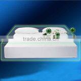 Hospital WaterProof Bed Bug Polyester Zipper Mattress Cover