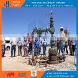 Wellhead X-mas Tree