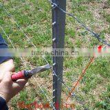 Fence T Post for American Market thumbnail-4