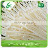 Edible White Fresh Enoki Mushrooms thumbnail-1