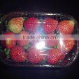 Best Egypt Egypt Strawberry thumbnail-1